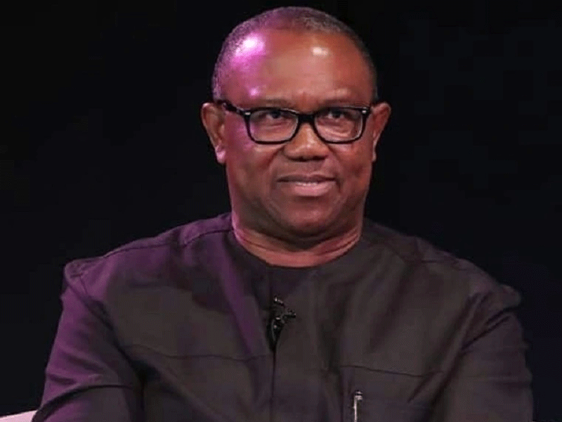 Labour Party speaks on giving Peter Obi victory in 2027