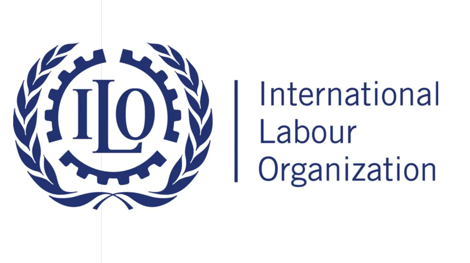 Two million workers to lose jobs in 2024 – ILO