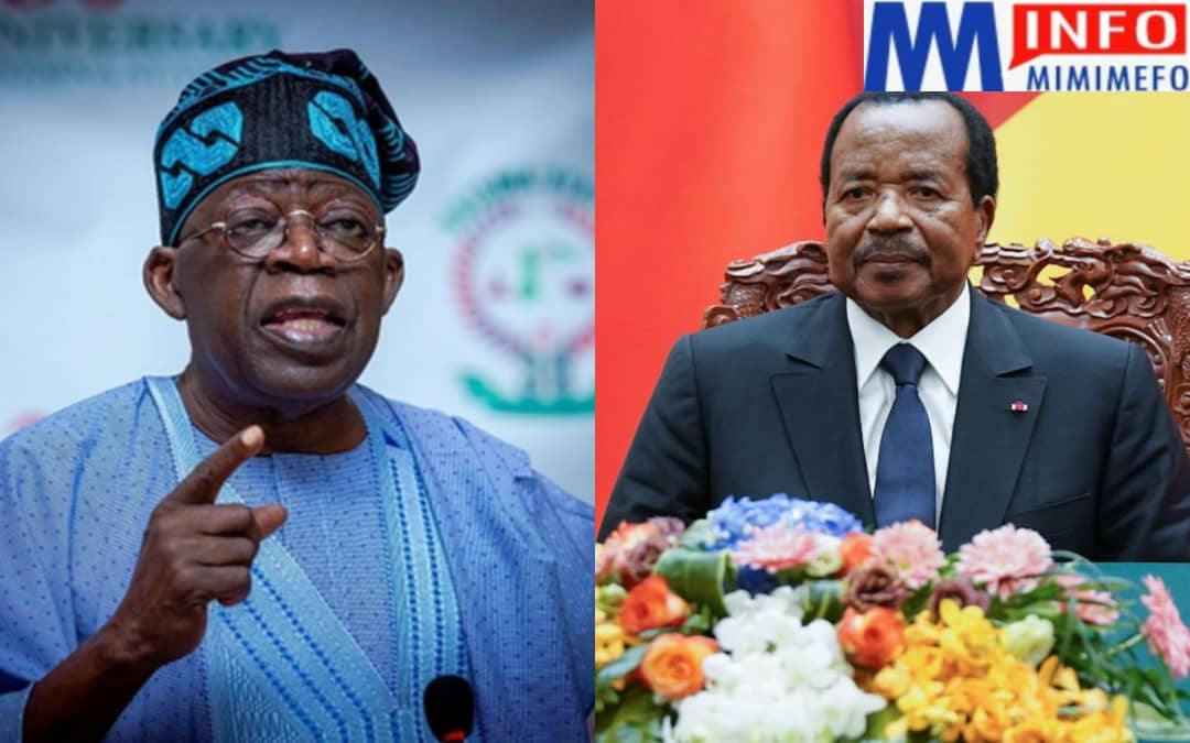 AFCON: Cameroonians ‘Insult’ Tinubu beyond words