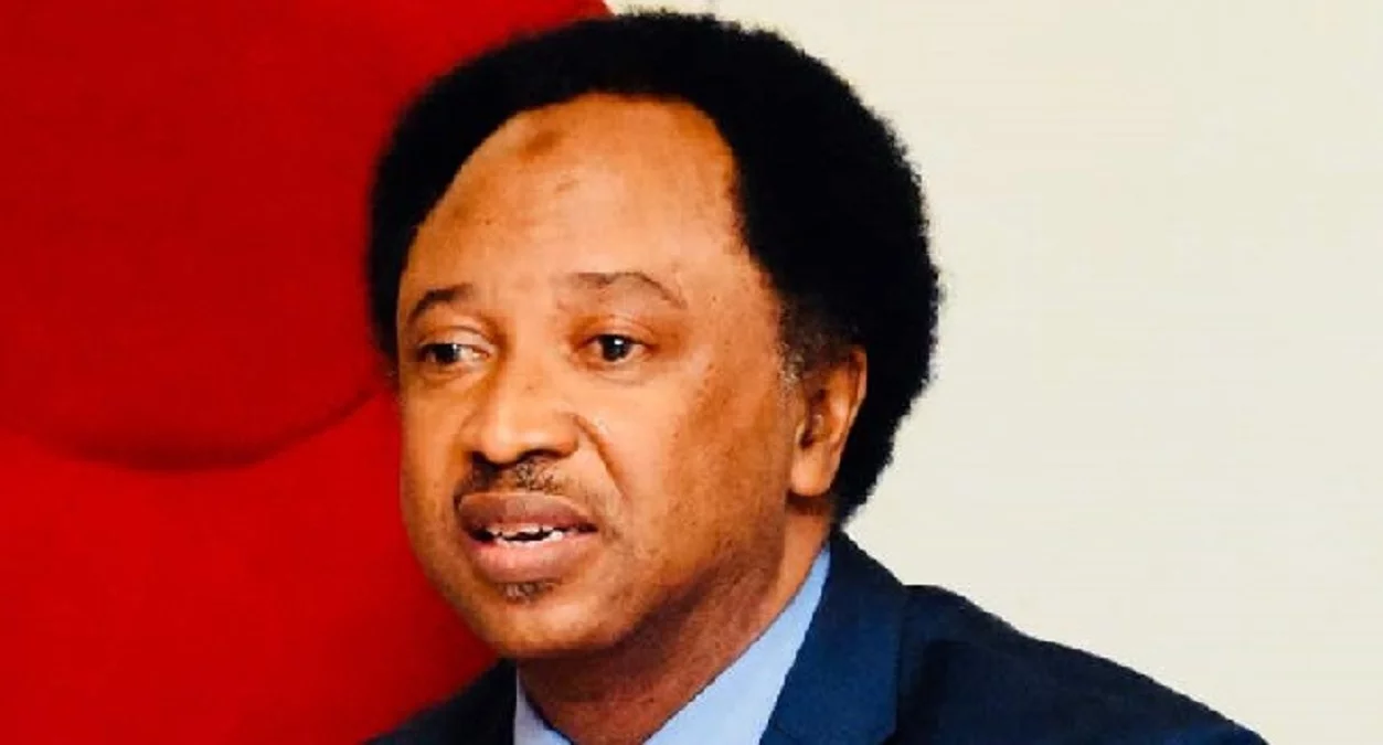 AFCON 2023: Only God would’ve saved Tinubu from koboko if he attended final – Shehu Sani