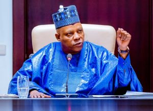 Why I rejected a proposal to cut off South East from electricity supply - Shettima