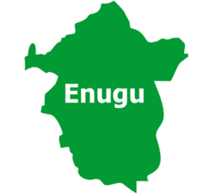 Enugu group places N1m bounty on Anambra woman over alleged brutalisation of minor