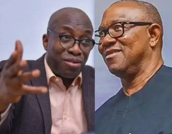 PDP Chieftain reveals why Nigerians regret not having Peter Obi as President