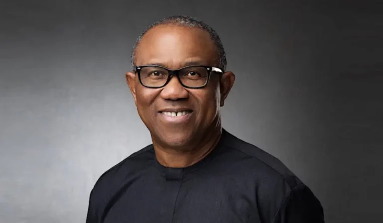 UK election justifies Peter Obi as leader of black race – LP chieftain, Ezeh