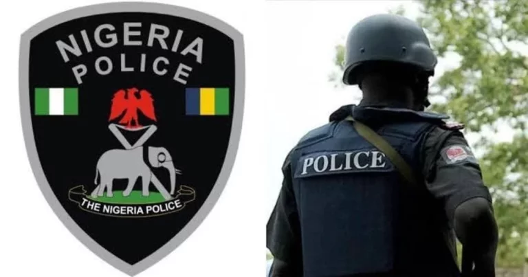 EndBadGovernance protest: Osun police issues strong warning against