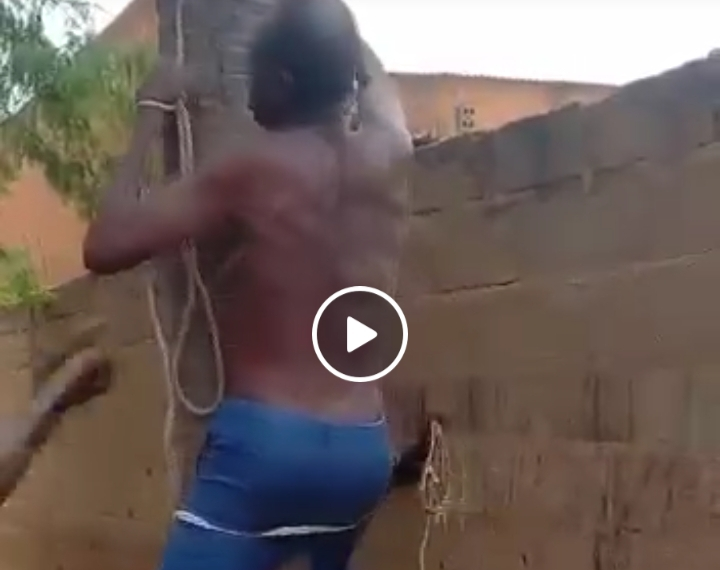 VIDEO: Angry youths tie APC chairman to a tree, beat him up