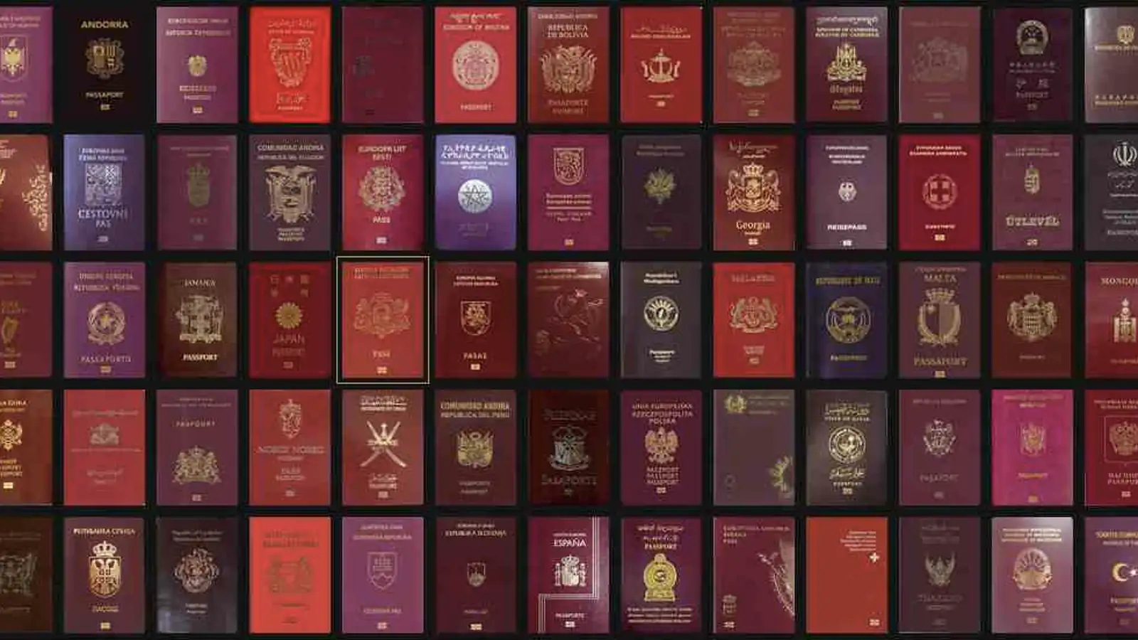 5 African countries with the most powerful passports in 2024