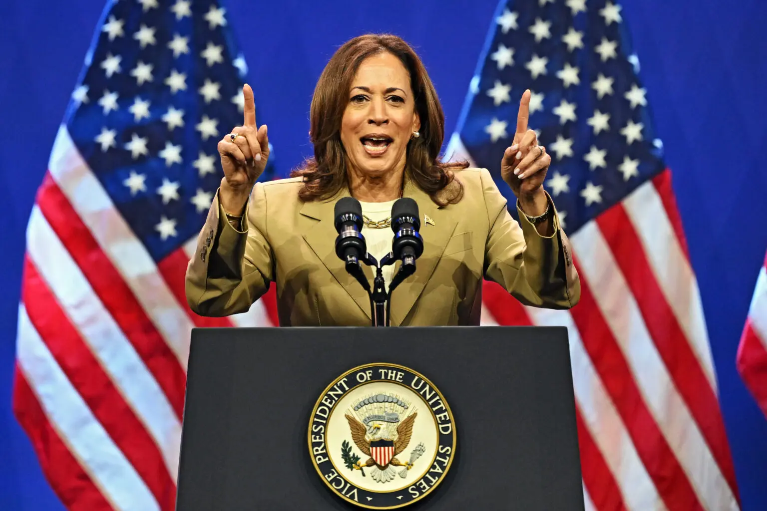 US election: Kamala Harris makes fresh promises to all Americans