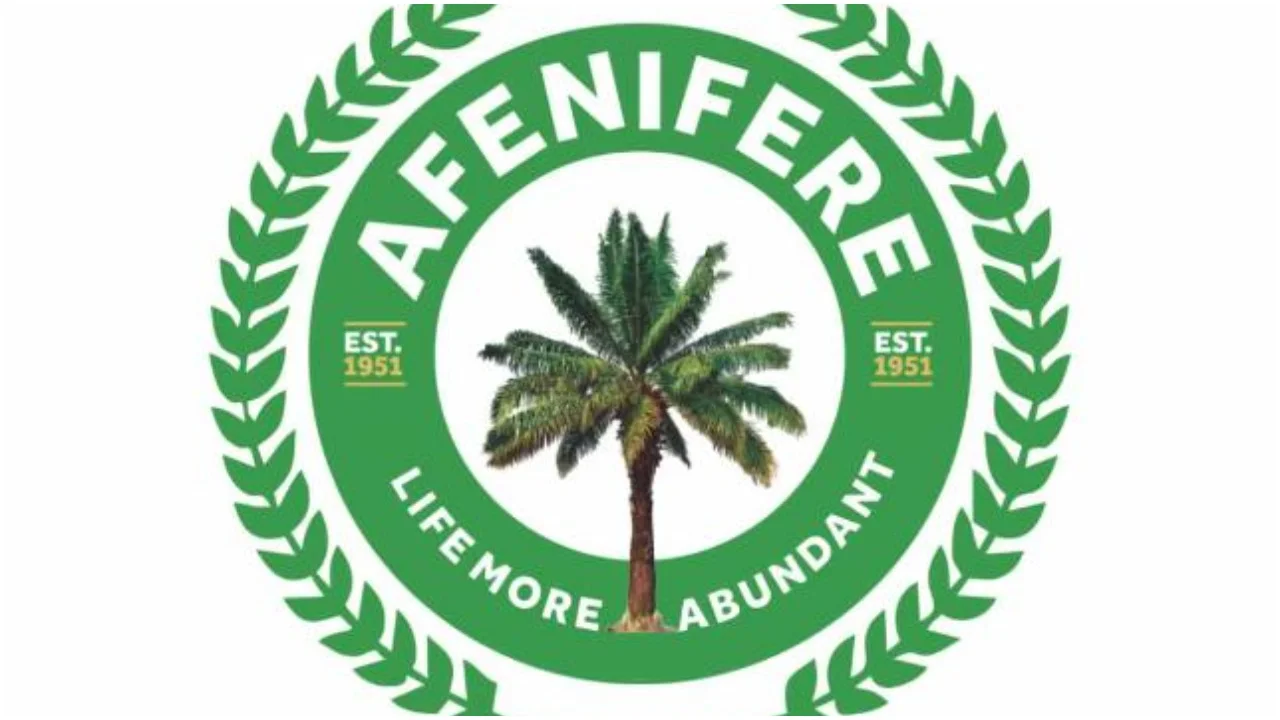 Afenifere lays stromg allegation against Tinubu governemnt