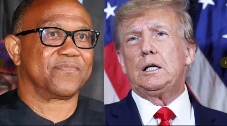 US election: Peter Obi is Nigerian version of Trump – Presidency