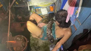 Woman is squeezed by 13ft python for two hours after it attacks while she's doing the dishes