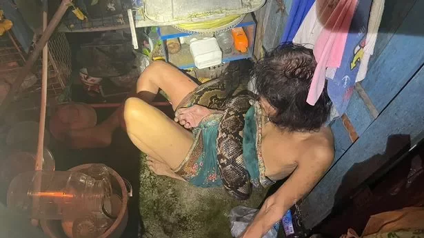 Woman is squeezed by 13ft python for two hours after it attacks while she’s doing the dishes