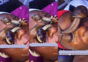 VIDEO: Live snails crawling on lady’s face during facial stirs reactions