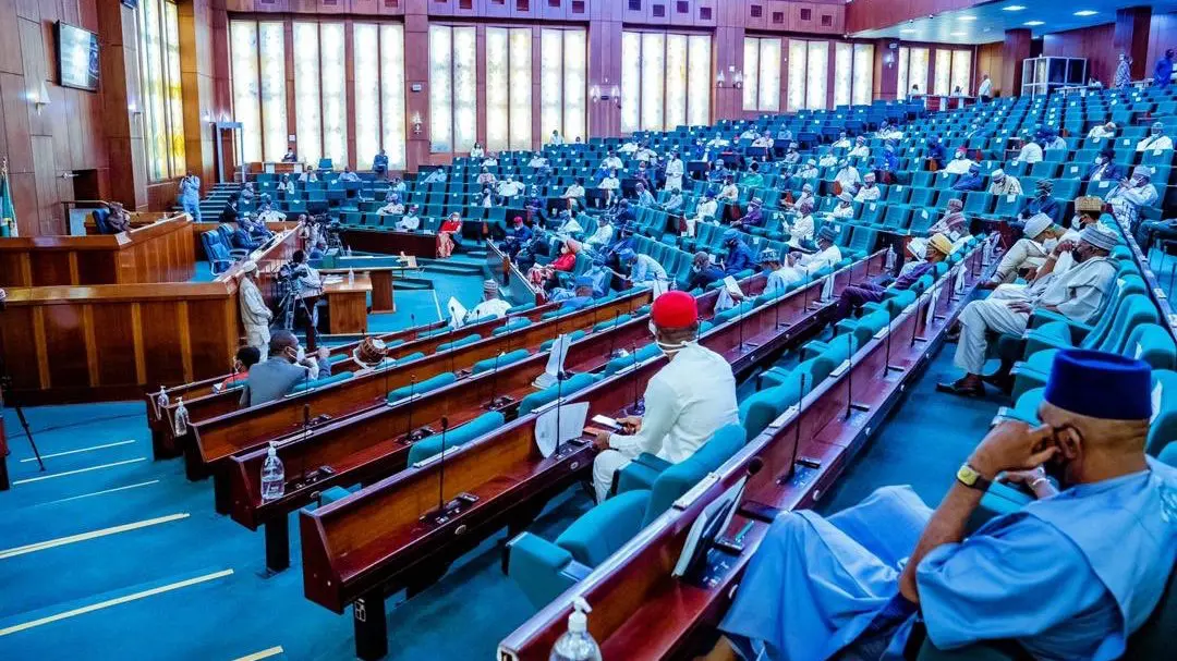 Reps seek establishment of Bola Tinubu University to teach Nigerian languages