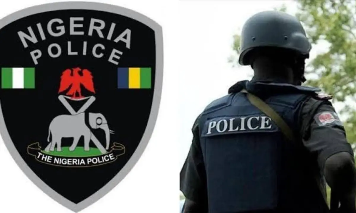 Niger: Owner of dynamites still at large – Police