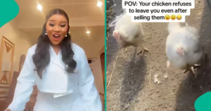 VIDEO: Nigerian lady warns chickens to go back as they follow her after she sold them