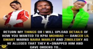 I will upload details of how you wanted to kpai Mohbad — Dancer Lil Smart warns Naira Marley and Zinolesky alleges