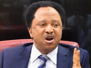 “You can’t abandon Tinubu to those who didn’t vote for him’ – Shehu Sani tells North