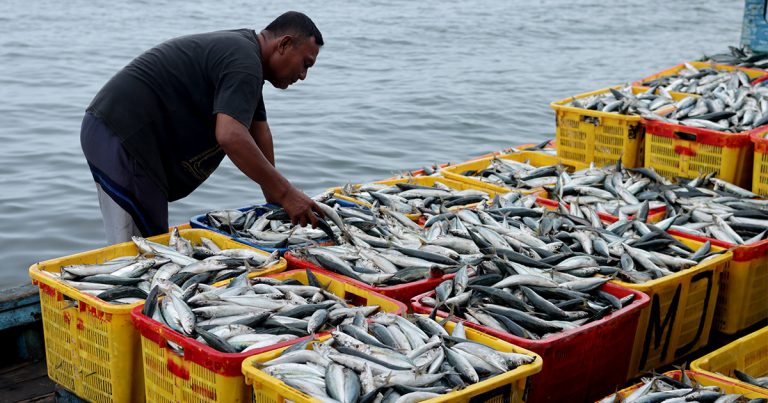 How fishing laws cause a $70m loss annually—Operators.