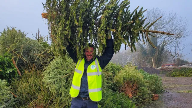 £36,000 Raised for Hospice Through Christmas Tree Recycling.