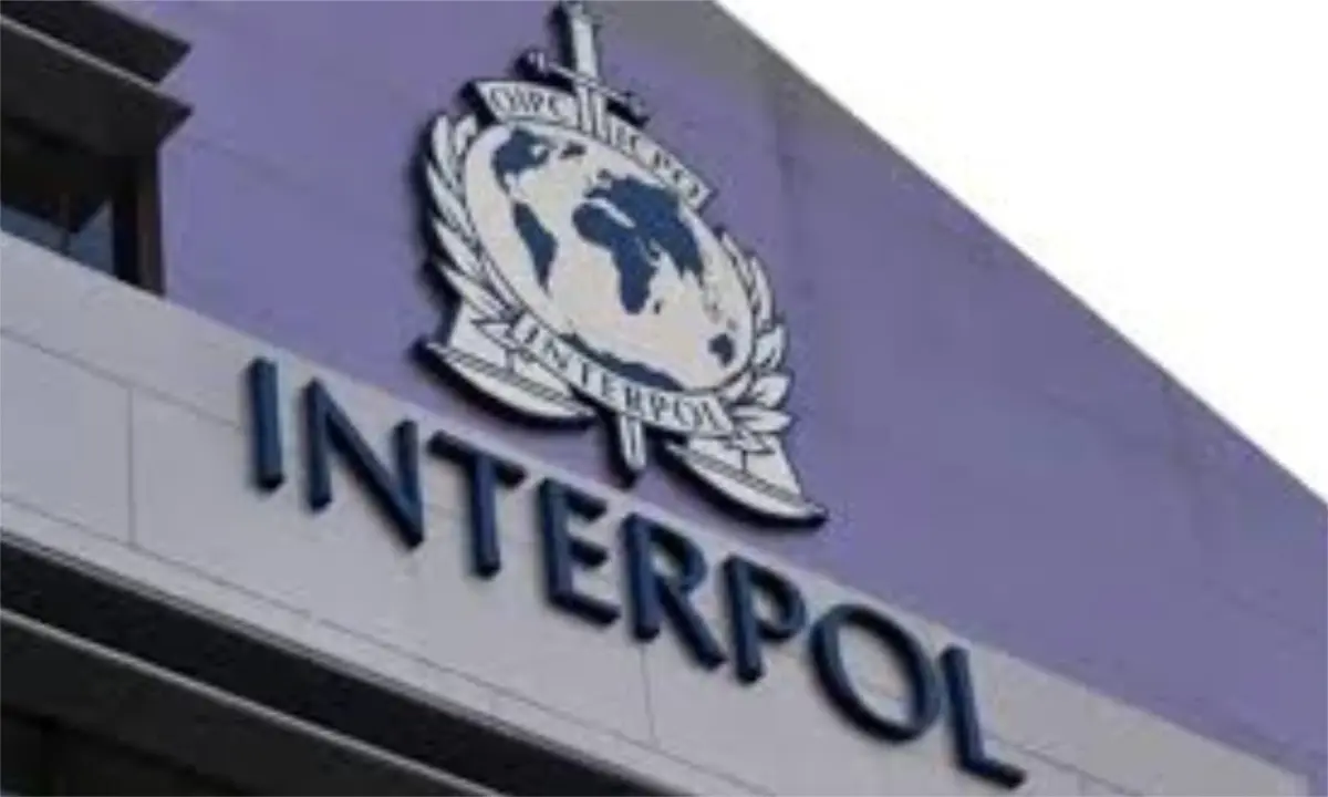 Interpol: 37 suspected terrorists arrested in East Africa