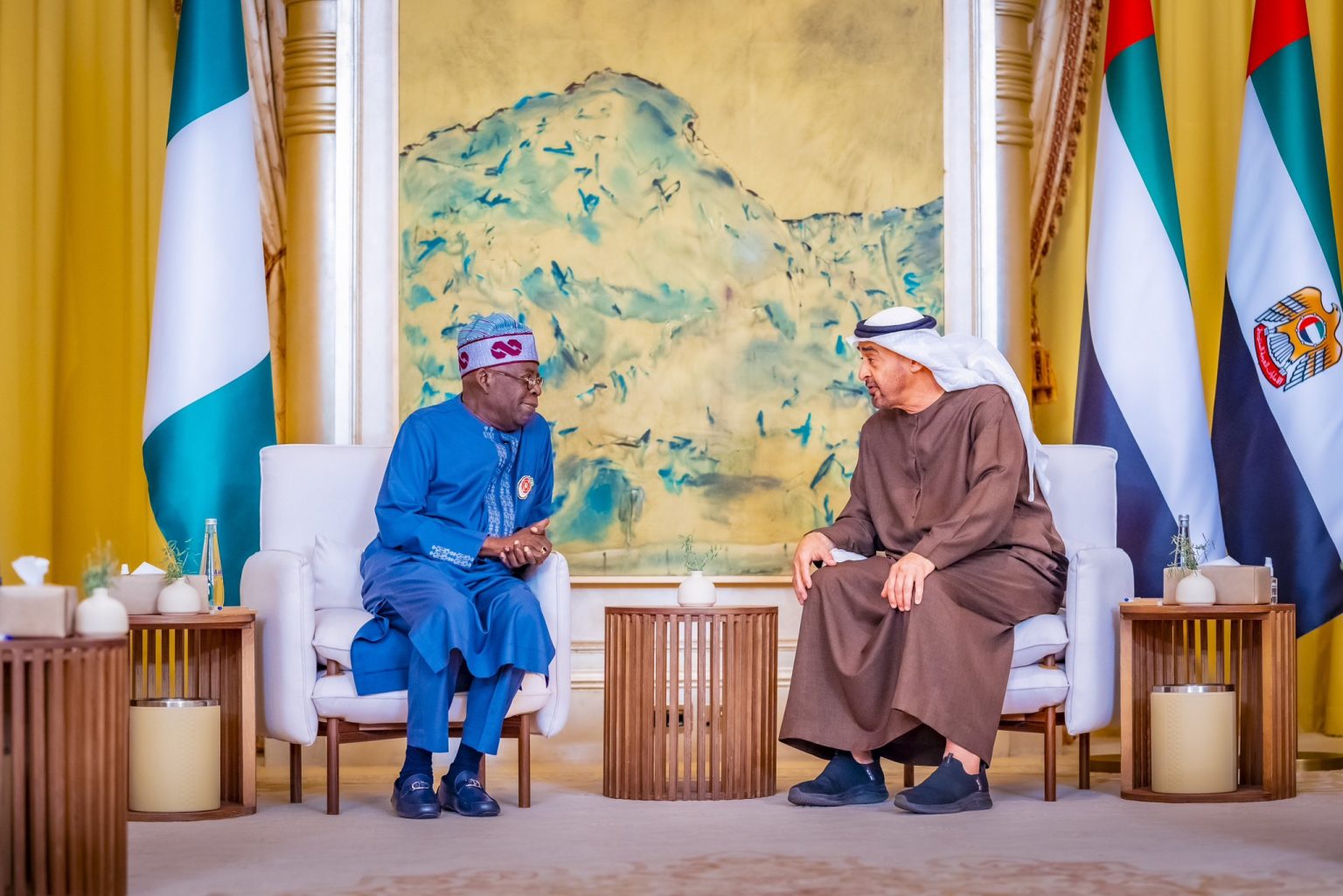 JUST IN: What Tinubu told UAE president about Nigeria revealed