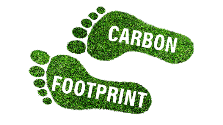 Simple Ways to Reduce Your Carbon Footprint