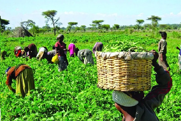 Renewed Hope Donates N150m to Support 300 Farmers in Rivers.