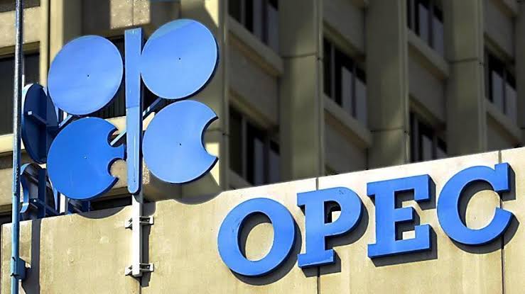 Report: OPEC crude oil production decreases in January.