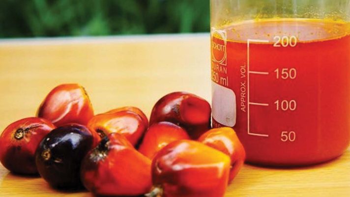 Nigeria Eyes Palm Oil Export Market.