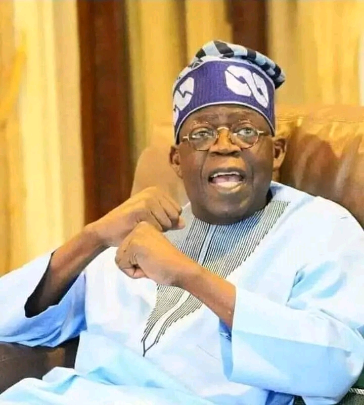 North divided over Tinubu re-election as leaders take sides