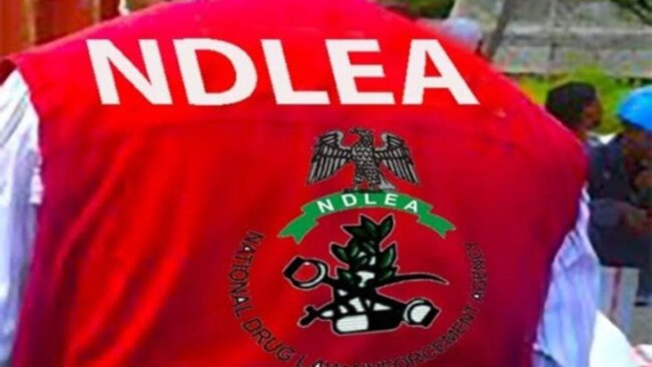 NDLEA raises alarm as three million people battle drug addiction in North Wes