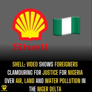 VIDEO: Foreigners seen clamouring for justice for Nigeria over air, land and water pollution in the Niger Delta