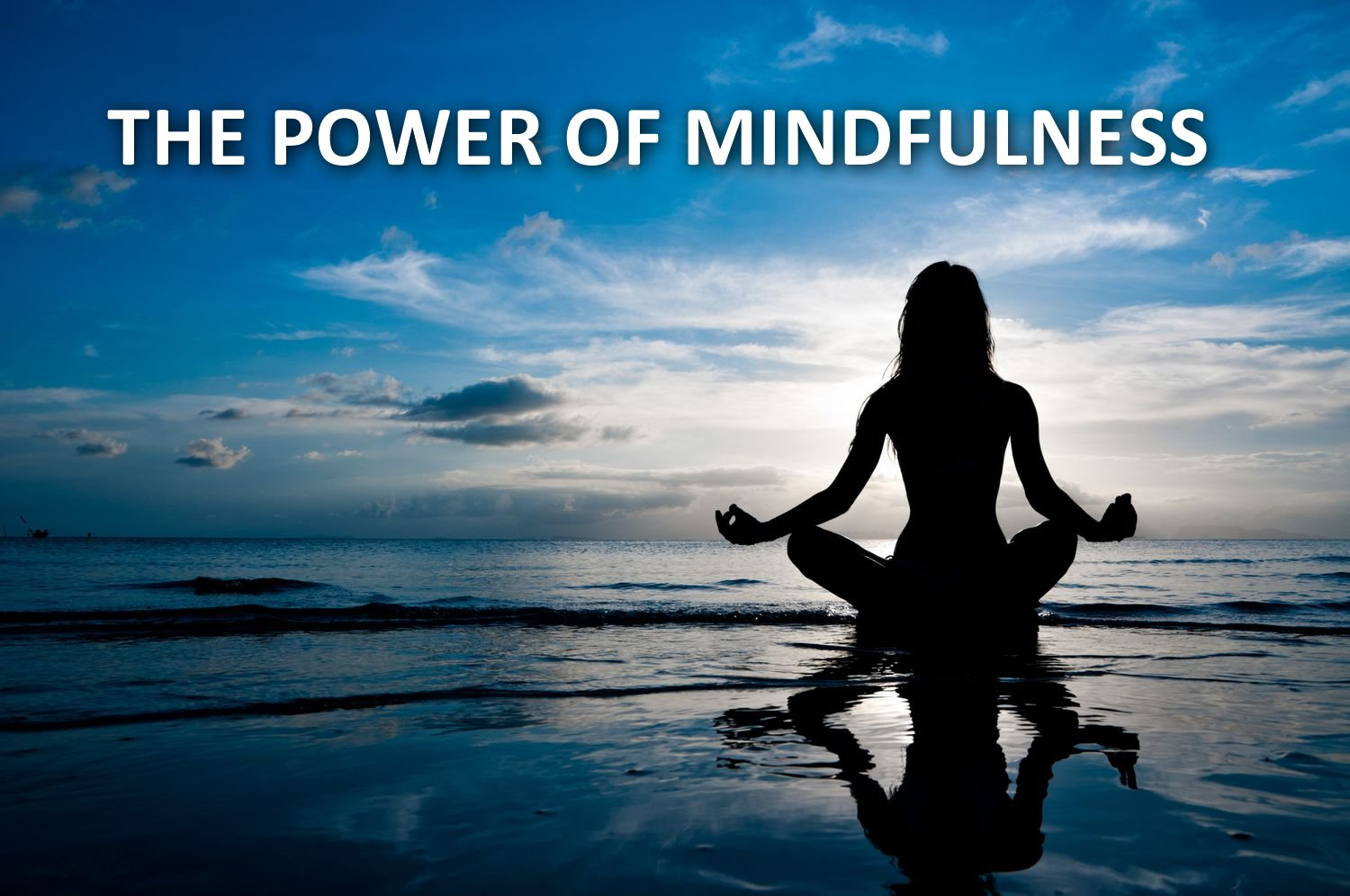 The Power of Mindfulness: Unlocking Wellness and Happiness