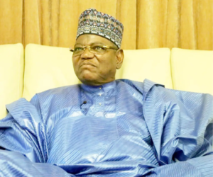 ‘Nigerians voted without thinking’ – Lamido dismisses calls for new party