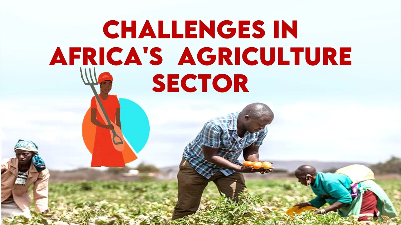 Promoting Agricultural Literacy in Africa: Challenges and Opportunities