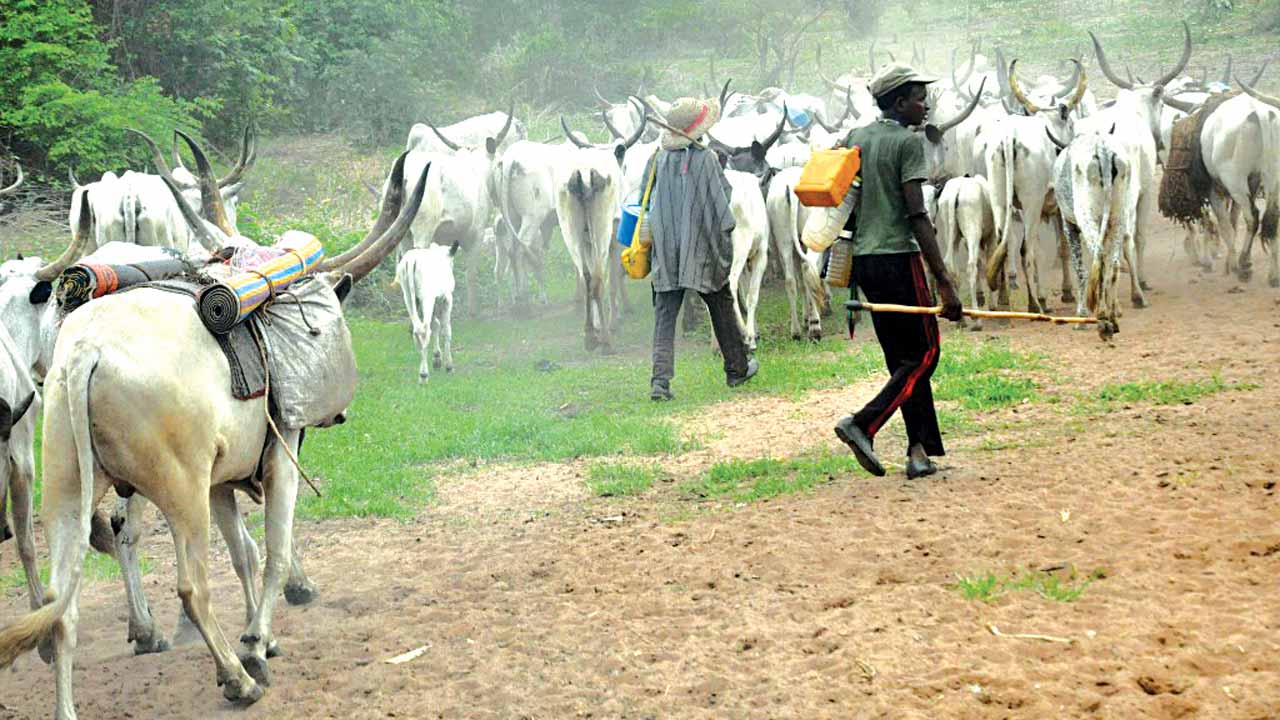 Tragedy in Nasarawa community as herdsmen attack leaves woman maimed