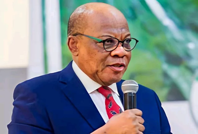 How Abacha killed 200 of my boys that day; they are not mentioned - SAN Agbakoba
