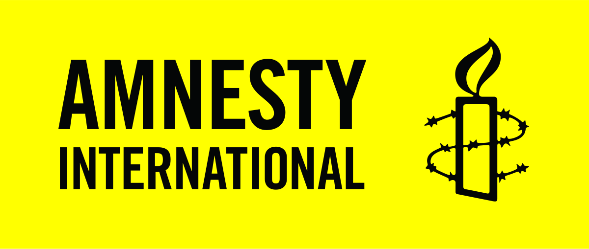 Amnesty International raises alarm over threats to activists