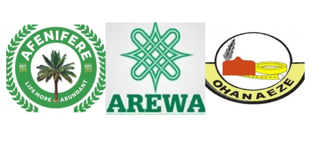 Afenifere, Ohanaeze, Arewa youths take stand on state police