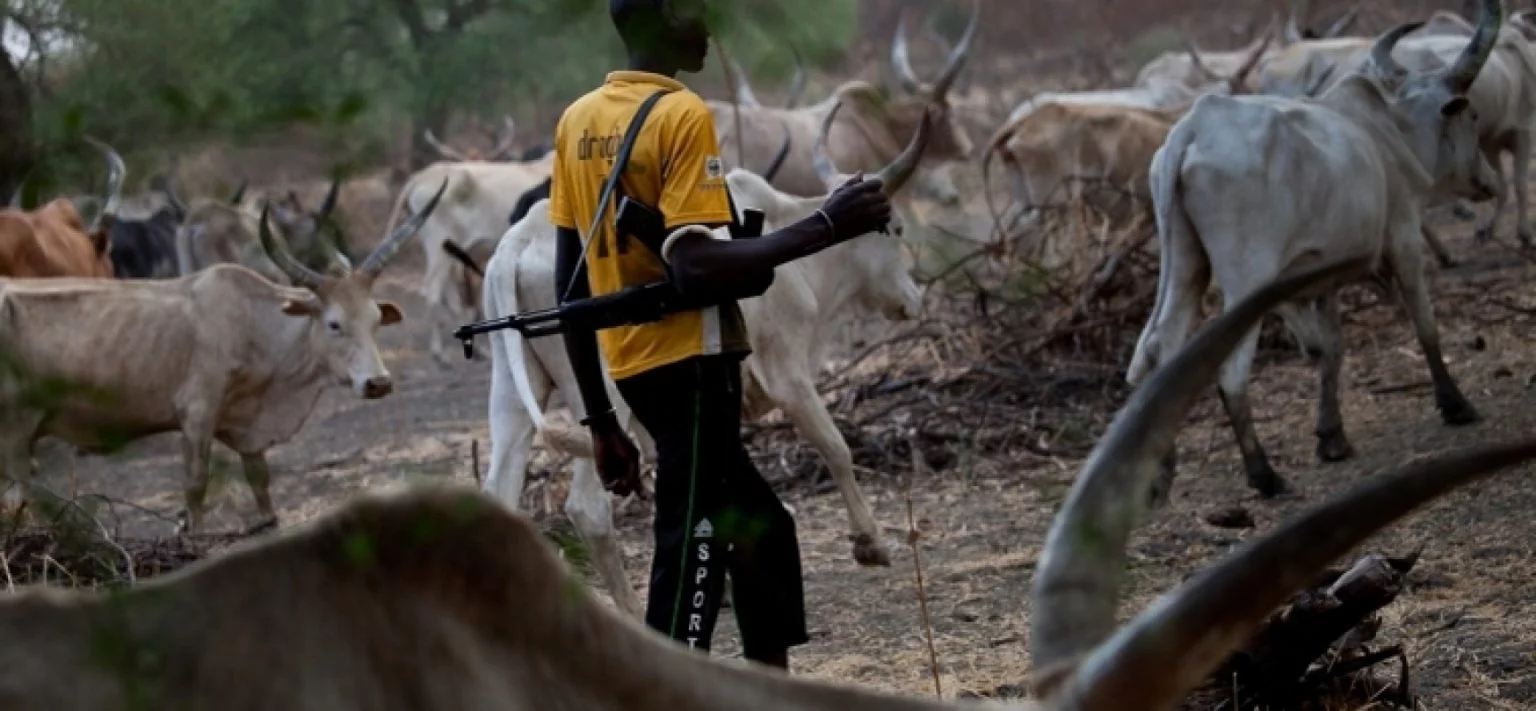 Suspected herdsmen hit Otukpo community, kill four, others missing