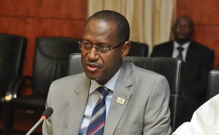 Cabinet shake-up: What Dangiwa said about Tinubu after leaving office will surprise you