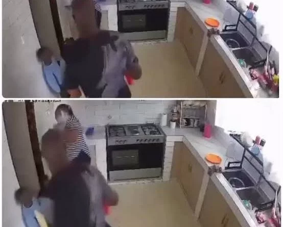 VIRAL VIDEO: Plumber and housemaid caught on CCTV making love