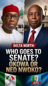 Okowa takes on Ned Nwoko: What you need to know about his bold 2027 Senate run