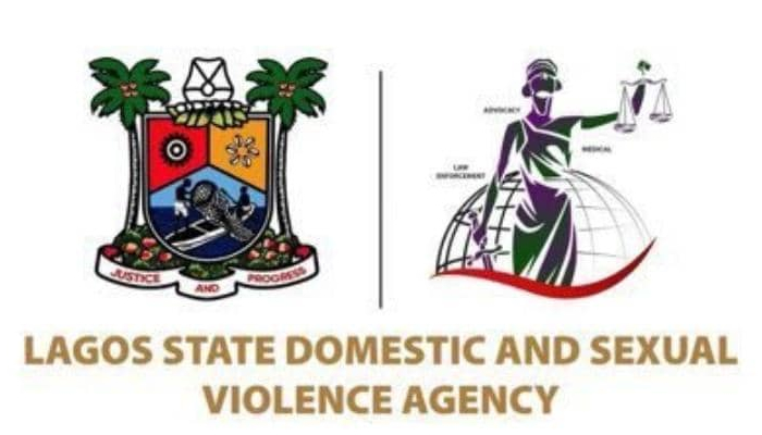 Fresh concern as hundreds seek help over domestic violence in Lagos