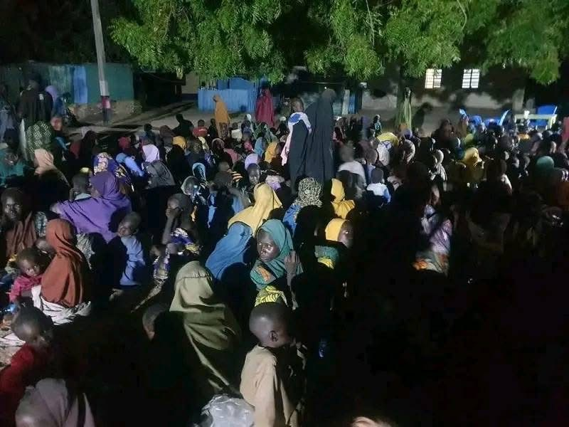 Fresh Military Operation Leads to Rescue of 360 women, children in Borno