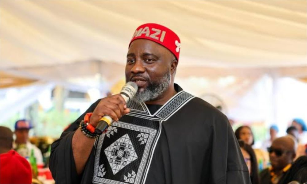 What Appeal Court Judgement Did To Nigeria’s Democracy – APP chieftain, Amadi