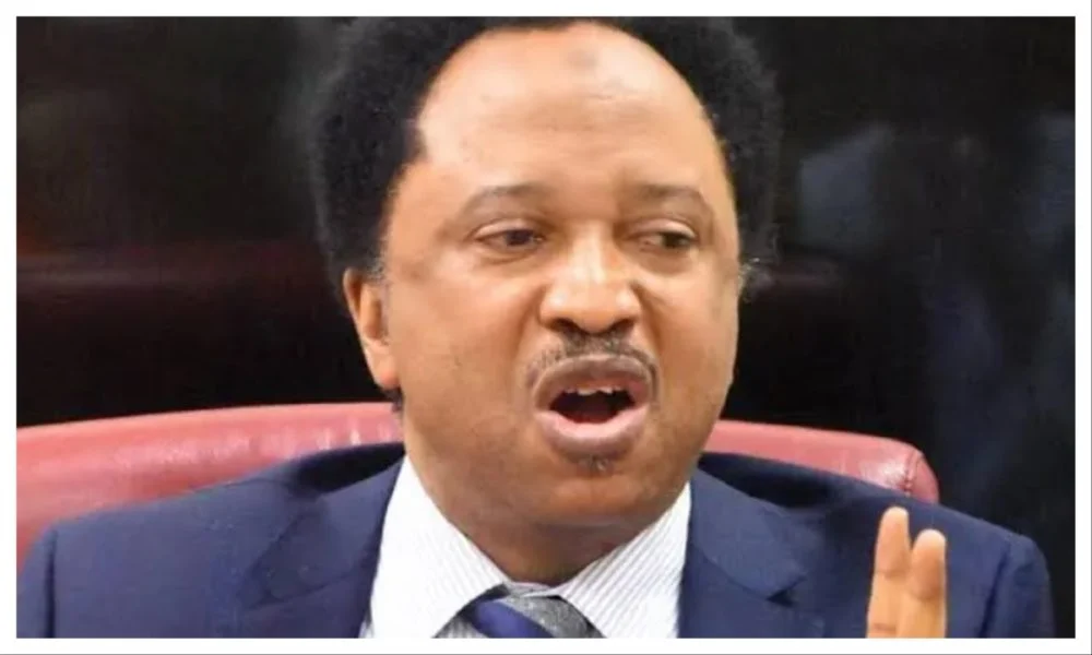 2027: Shehu Sani reveals who he wants in the presidential race