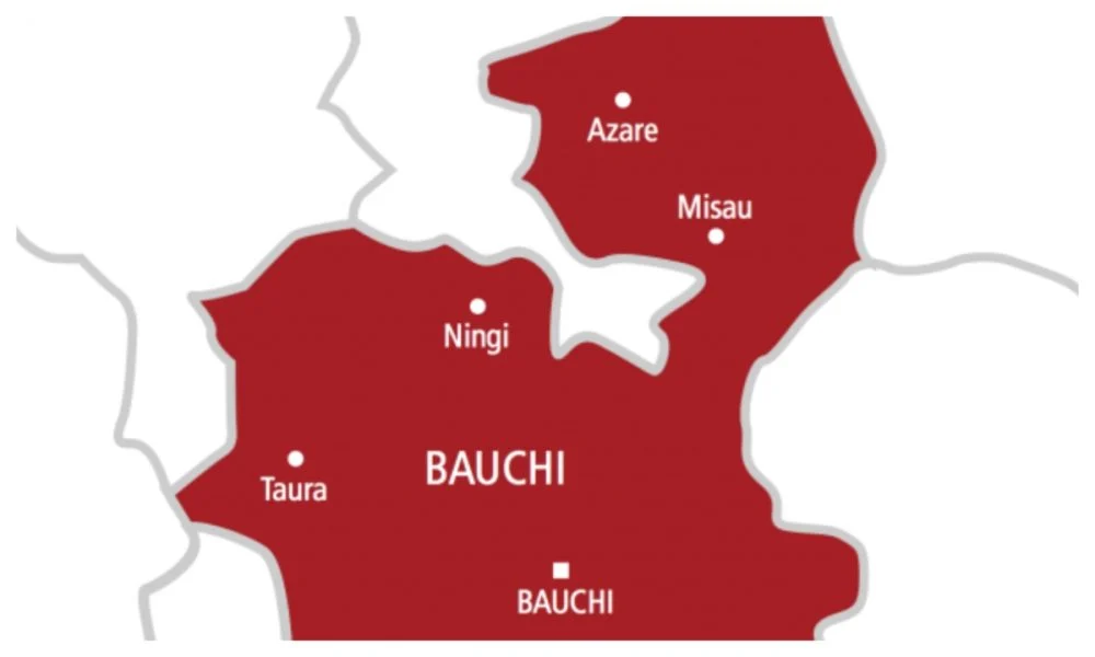 2027 Elections: Another Bauchi Lawmaker Makes Major Decision