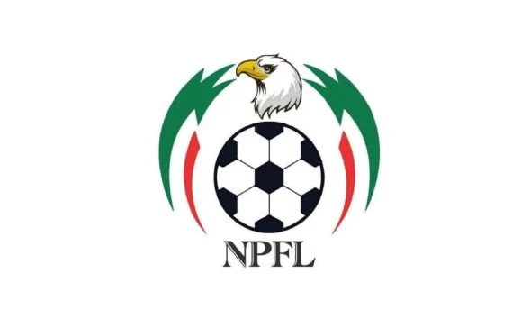 NPFL Takes Decisive Action Against Fan Over Controversial Conduct